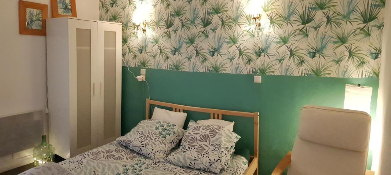 Appartement / Jungle