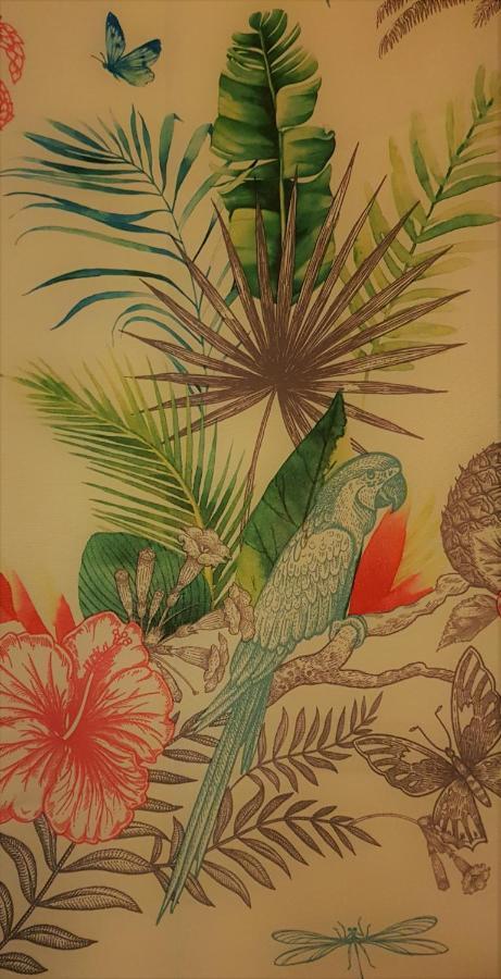 Appartement / Jungle Sète